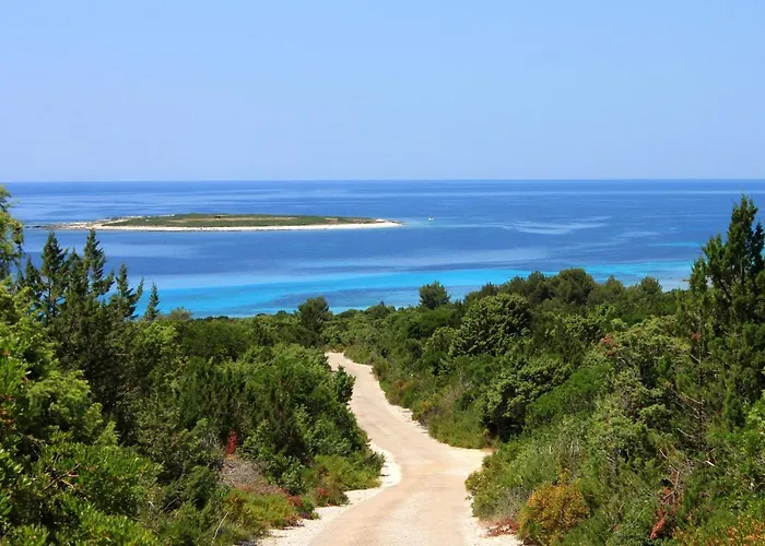 With Parking Space Savar, Dugi Otok - 12762